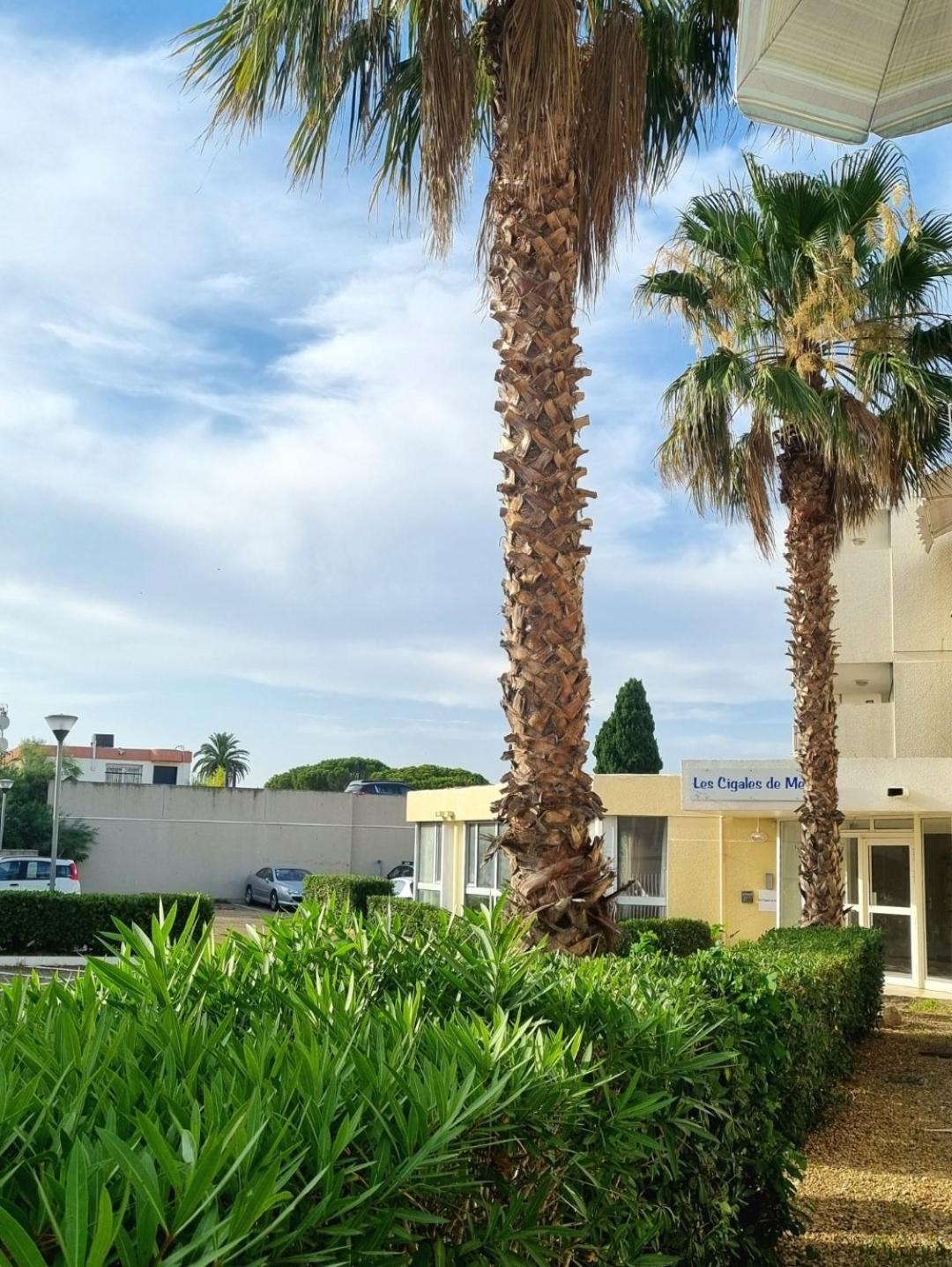 100 M De La Plage - Les Cigales De Mer - Studio Cabine - Parking Ле-Гро-дю-Руа Экстерьер фото